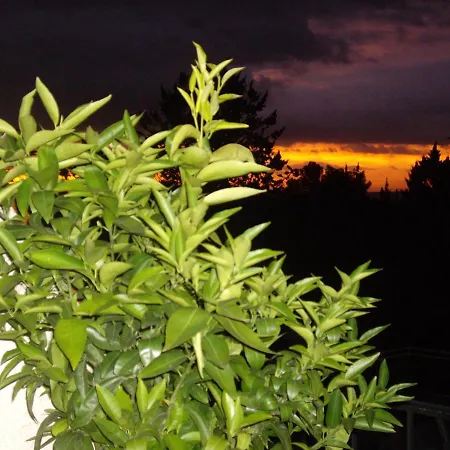 Des Cigales Bed and Breakfast 3*