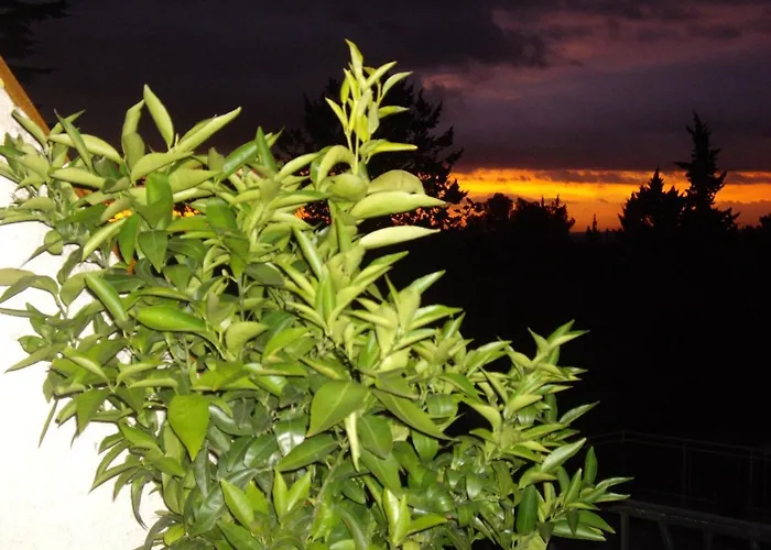 Des Cigales Bed and Breakfast 3*